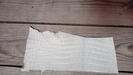 Morceau de cuir crocodile véritable - gris cendres - Cuir en stock