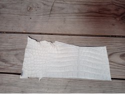Morceau de cuir crocodile véritable - gris cendres - Cuir en stock