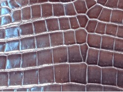 Morceau de cuir crocodile véritable - gris cendres - cuir en stock