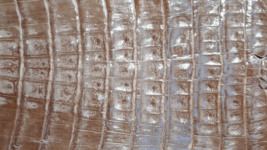 Cuir de crocodile véritable queue beige maroquinerie bijoux - Cuir en Stock