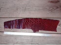 Morceau de cuir crocodile véritable - lie de vin - cuir en stock