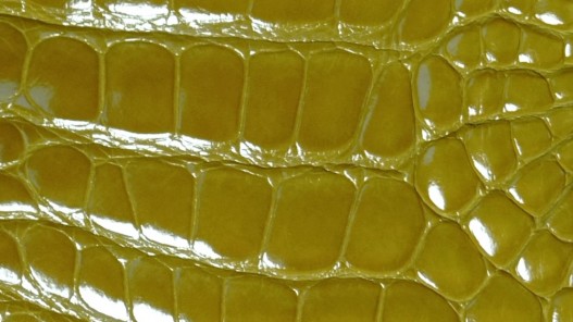 Morceau de cuir crocodile véritable - vert pomme - cuir en stock
