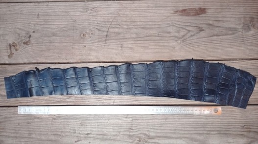 Morceau de peau de cuir de crocodile bleu mat - maroquinerie - bijou - Cuir en stock