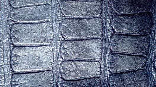 Morceau de peau de cuir de crocodile bleu mat - maroquinerie - bijou - Cuir en Stock