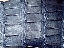 Morceau de peau de cuir de crocodile bleu mat - maroquinerie - bijou - Cuir en Stock