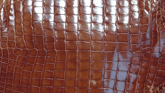 Détail grain peau cuir de crocodile véritable brun caramel - Cuir en Stock