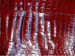 Morceau de peau de cuir de crocodile brun acajou - maroquinerie - bijou - Cuir en stock