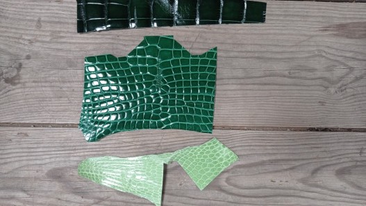 lot de morceaux de cuir de crocodile vert - maroquinerie - bijoux - Cuir en stock