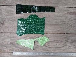 lot de morceaux de cuir de crocodile vert - maroquinerie - bijoux - Cuir en stock