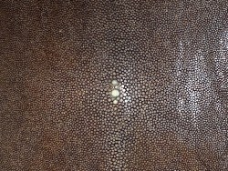 Détail grain - perle centrale - peau galuchat - cuir exotique - marron - Cuir en stock