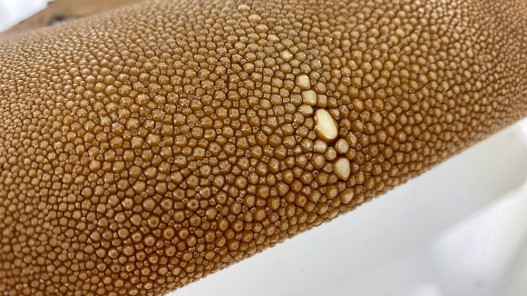 Détail grain - perle centrale - peau galuchat - cuir exotique - brun clair - Cuir en Stock
