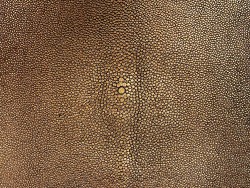Détail grain - perle centrale - peau galuchat - cuir exotique - métallisé cuivre - cuir en stock