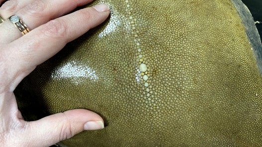 Détail grain - perle centrale - peau galuchat - cuir exotique - kaki - cuir en stock