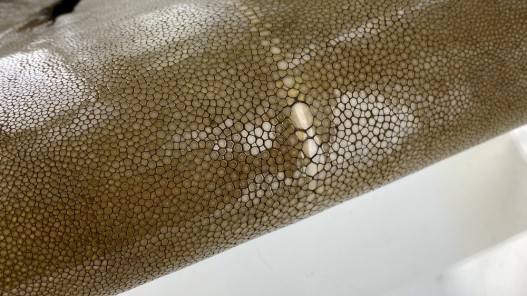 Détail grain - perle centrale - peau galuchat - cuir exotique - kaki - Cuir en Stock