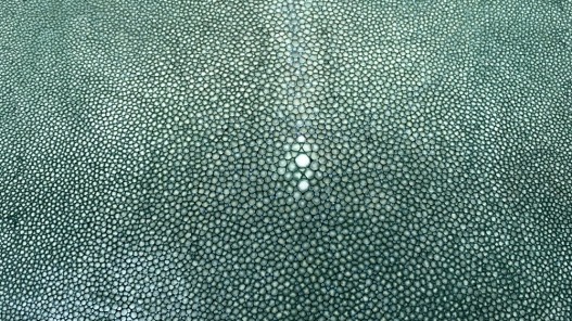 Détail grain - perle centrale - peau galuchat - cuir exotique - vert émeraude - cuir en stock