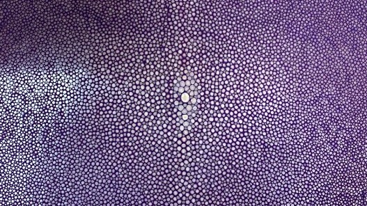 Peau de cuir de galuchat - perle centrale - peau exotique de luxe - violet - Cuir en stock