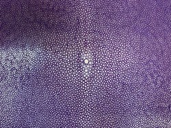Peau de cuir de galuchat - perle centrale - peau exotique de luxe - violet - Cuir en stock