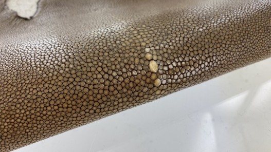 Peau de cuir de galuchat - perle centrale - peau exotique de luxe - brun clair - Cuir en Stock