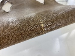 Peau de cuir de galuchat - perle centrale - peau exotique de luxe - brun clair - Cuir en Stock