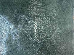 peau de cuir de galuchat - cuir exotique de luxe - couronne de perle - vert de gris - Cuir en stock
