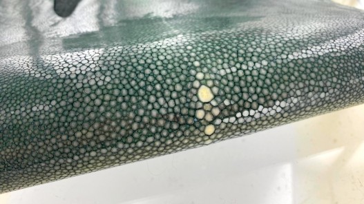peau de cuir de galuchat - cuir exotique de luxe - couronne de perle - vert de gris - Cuir en Stock