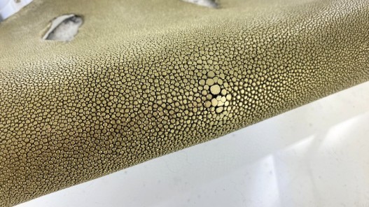 peau de cuir de galuchat - cuir exotique de luxe - couronne de perle - doré vielli - Cuir en Stock