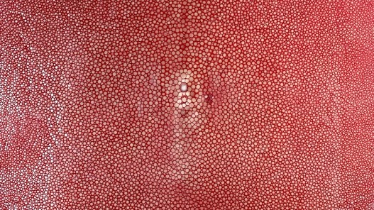 peau de cuir de galuchat - cuir exotique de luxe - couronne de perle - rouge - Cuir en stock