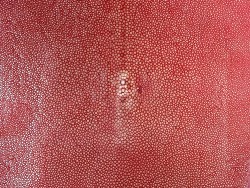 peau de cuir de galuchat - cuir exotique de luxe - couronne de perle - rouge - Cuir en stock