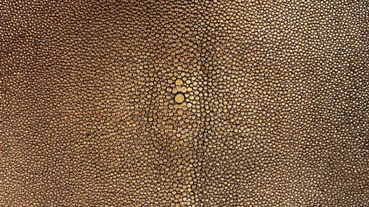 peau de cuir de galuchat - cuir exotique de luxe - couronne de perle - métallisé cuivre - cuirenstock