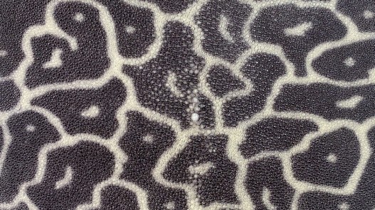peau de cuir de galuchat - cuir exotique de luxe - couronne de perle - leopard gris - Cuir en stock