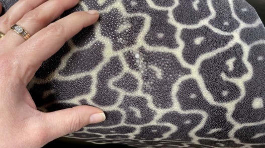 peau de cuir de galuchat - cuir exotique de luxe - couronne de perle - leopard gris - cuir en stock