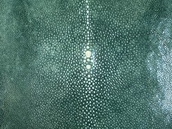 peau de cuir de galuchat - cuir exotique de luxe - couronne de perle - vert émeraude - Cuir en stock
