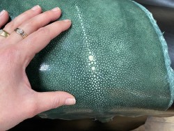 peau de cuir de galuchat - cuir exotique de luxe - couronne de perle - vert émeraude - cuir en stock