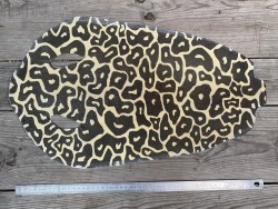 Peau de galuchat - perle centrale - cuir exotique - façon léopard beige - Cuirenstock