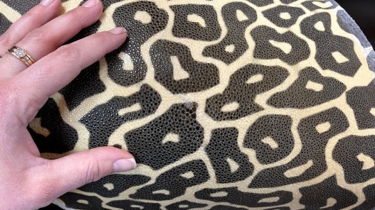 Peau de galuchat - perle centrale - cuir exotique - façon léopard beige - cuir en stock