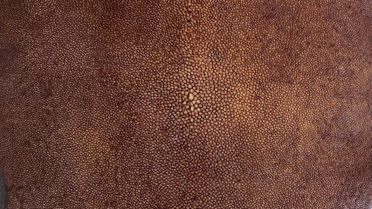 Peau de galuchat - perle centrale - cuir exotique - marron chocolat - Cuir en stock