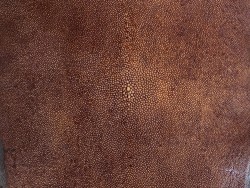 Peau de galuchat - perle centrale - cuir exotique - marron chocolat - Cuir en stock