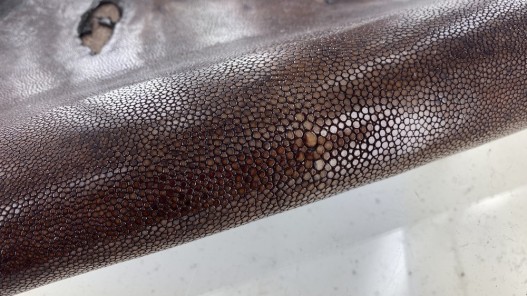 Peau de galuchat - perle centrale - cuir exotique - marron chocolat - Cuir en Stock
