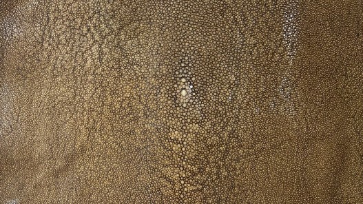 Peau de galuchat - perle centrale - cuir exotique - brun - Cuir en stock