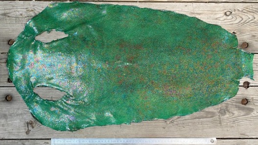 Peau de galuchat - perle centrale - cuir exotique - vert aux reflets holographique - Cuirenstock
