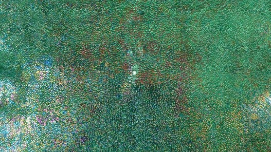 Peau de galuchat - perle centrale - cuir exotique - vert aux reflets holographique - cuir en stock