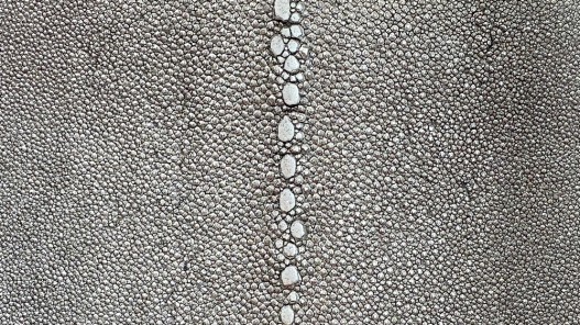 Peau de cuir de galuchat - perles alignées - roussette - argent pailleté - cuir en stock