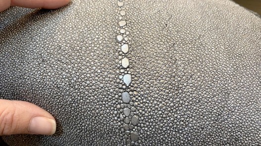 Peau de cuir de galuchat - perles alignées - roussette - argent pailleté - Cuir en stock