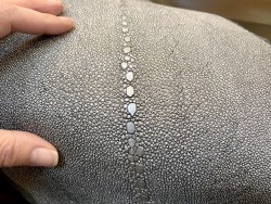 Peau de cuir de galuchat - perles alignées - roussette - argent pailleté - Cuir en stock
