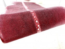 Peau de cuir de galuchat - perles alignées - roussette - bordeaux - Cuir en Stock