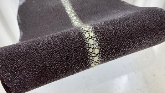 Peau de cuir de galuchat - perles alignées - roussette - marron - Cuir en Stock