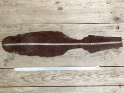 Peau de cuir de galuchat - perles alignées - roussette - marron - Cuirenstock