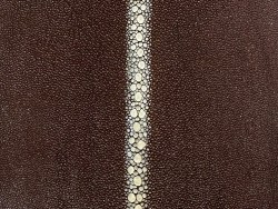 Peau de cuir de galuchat - perles alignées - roussette - marron - cuir en stock