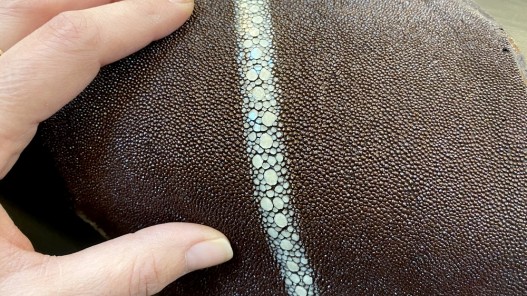 Peau de cuir de galuchat - perles alignées - roussette - marron - Cuir en stock