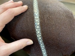 Peau de cuir de galuchat - perles alignées - roussette - marron - Cuir en stock